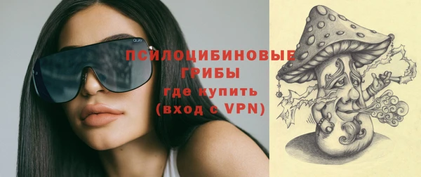 гашик Снежинск