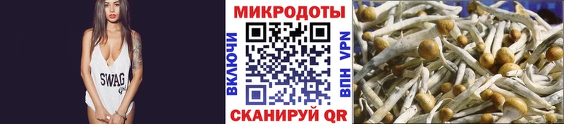 kraken рабочий сайт  Волчанск  Галлюциногенные грибы GOLDEN TEACHER  даркнет сайт 